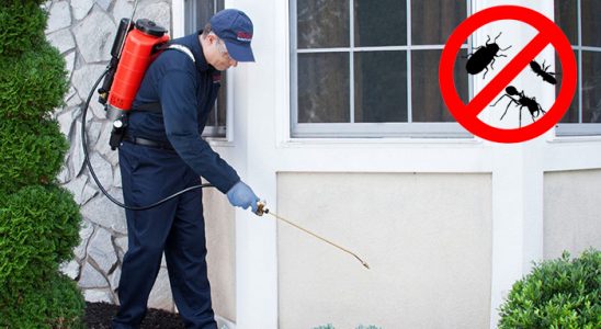 Alaçatı Böcek İlaçlama böcek ilaçlama ve haşere kontrolü — ilaclama-tr.com